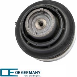 Bearing, motor | 800819