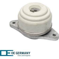 Bearing, motor | 800859