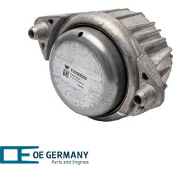 Bearing, motor | 801031