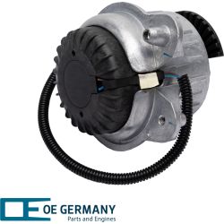 Bearing, motor | 801286