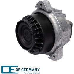 Bearing, motor | 802561