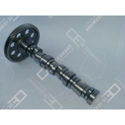 Camshaft | 01 0500 501001