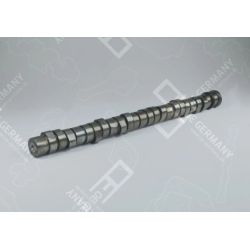 Camshaft | 03 0500 D12C00