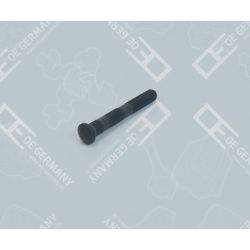 Connecting rod screw | 04 0311 101100