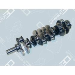 Crankshaft without bearing | 01 0300 352000