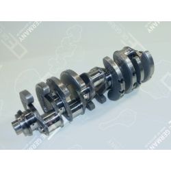 Crankshaft without bearing | 01 0300 423000