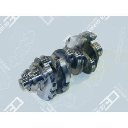 Crankshaft without bearing | 01 0300 441000