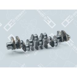 Crankshaft without bearing | 01 0300 457001