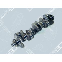 Crankshaft without bearing | 01 0300 906000