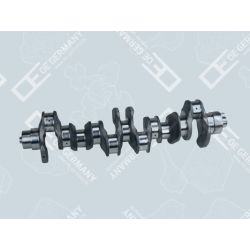 Crankshaft without bearing | 01 0300 936000