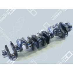 Crankshaft without bearing | 02 0300 082600