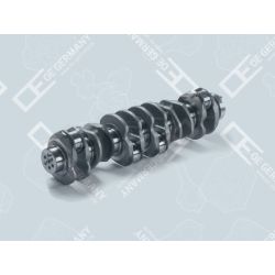 Crankshaft without bearing | 02 0300 083601