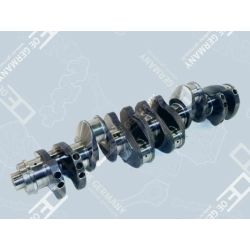 Crankshaft without bearing | 02 0300 286600