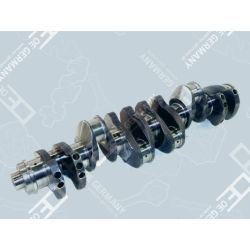 Crankshaft without bearing | 02 0300 287600