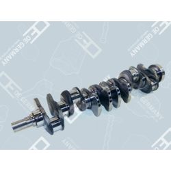 Crankshaft without bearing | 03 0300 103000