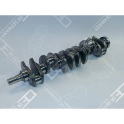 Crankshaft without bearing | 03 0300 123000