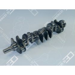 Crankshaft without bearing | 03 0300 710001