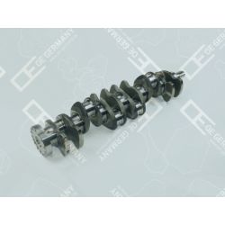 Crankshaft without bearing | 03 0300 D12A00