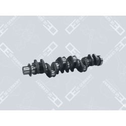 Crankshaft without bearing | 04 0300 201306