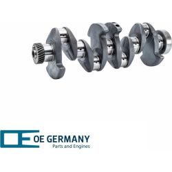 Crankshaft without bearing | 04 0300 912004