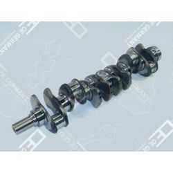 Crankshaft without bearing | 05 0300 110000