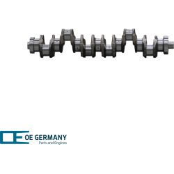 Crankshaft without bearing | 05 0300 130000