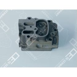 CYL. HEAD W/O VALVES | 01 0120 403000