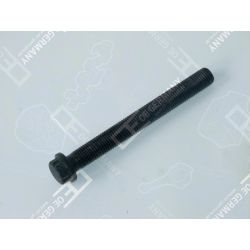 Cylinder head screw | 01 0121 900000