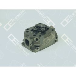 Cylinder head with valves | 01 0129 501000