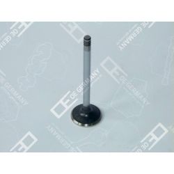 Exhaust valve | 04 0520 101301