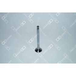 Exhaust valve | 05 0520 DC9001