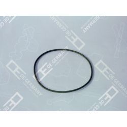 O-ring | 01 0111 400004