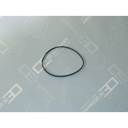 O-ring | 02 0111 287600