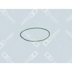 O-Ring | 05 0111 110003