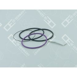 O-Ring Satz | 03 0111 071000