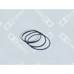 O-Ring Satz | 03 0111 120001