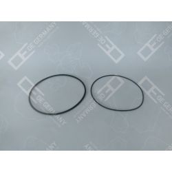 O-Ring Satz | 05 0111 110001